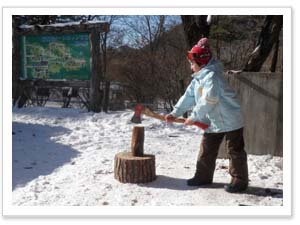 �������������