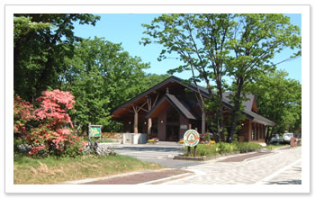 �������������